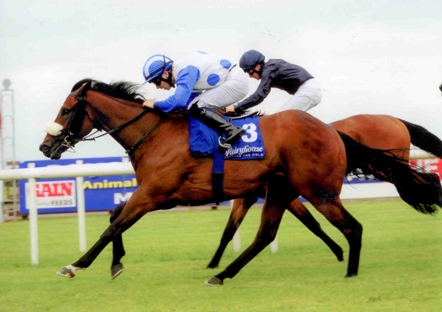 LIGHTNIN HOPLINS- Winning at Fairyhouse 3rd July 2013